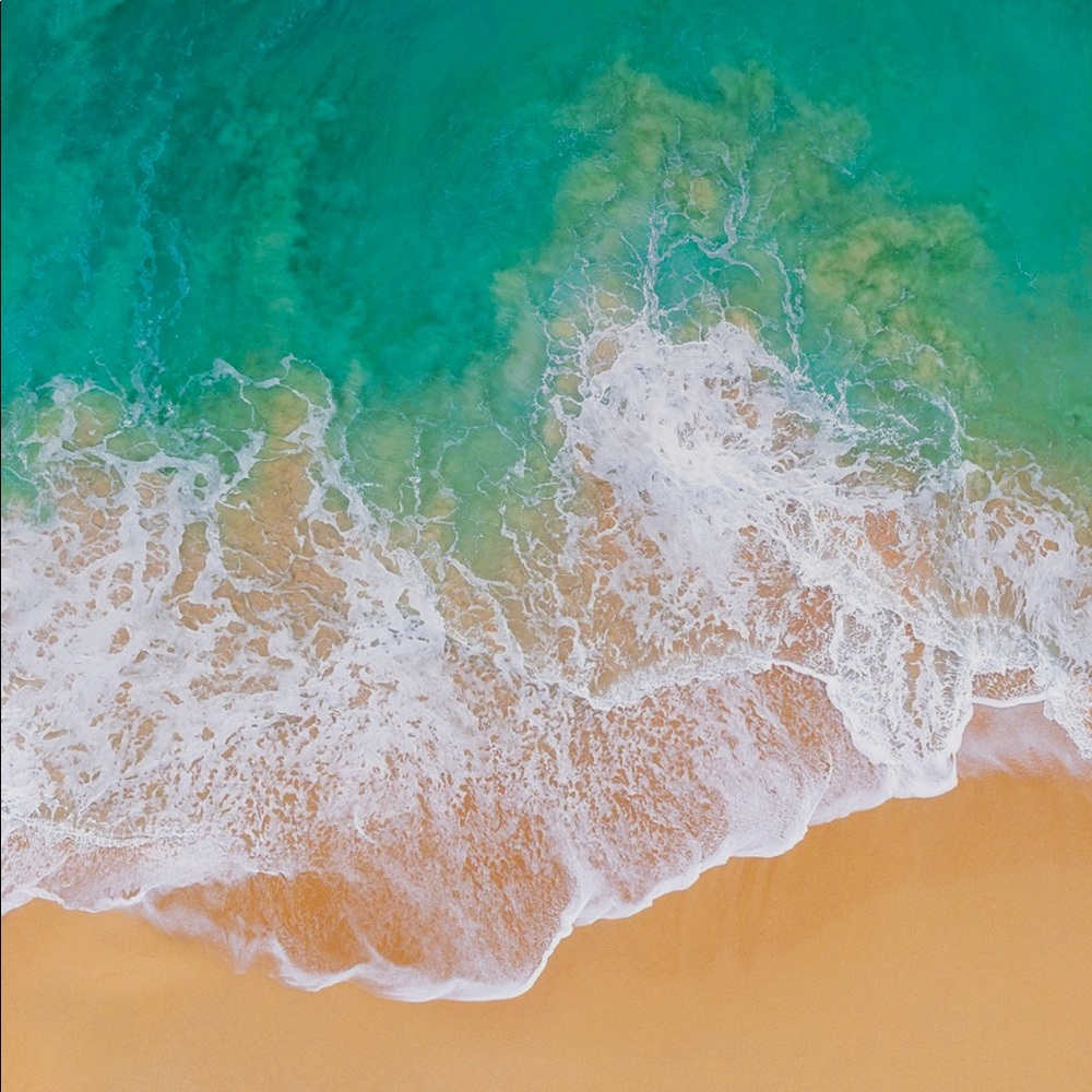 Meet your Posher, Alice